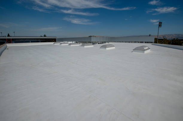 Best Rubber Roofing (EPDM, TPO)  in North Decatur, GA