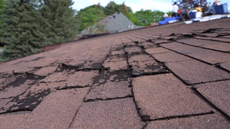 Best Roof Leak Repair  in North Decatur, GA
